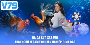 Đá gà cựa sắt V79 - Trải nghiệm game chuyên nghiệp đỉnh cao